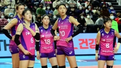 여자배구 흥국생명 외국인 감독 영입 추진한다.