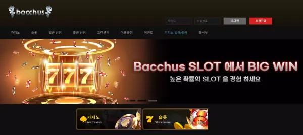바카스 먹튀 검증