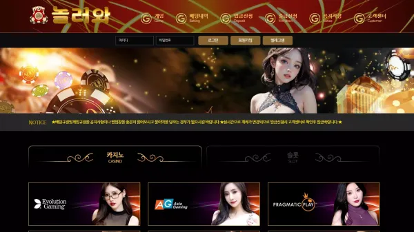 놀러와 먹튀 검증