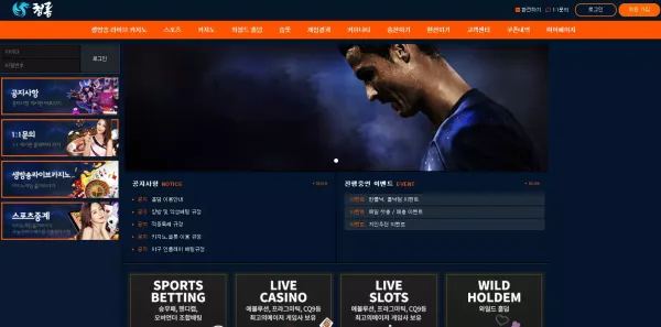 청룡 먹튀 검증
