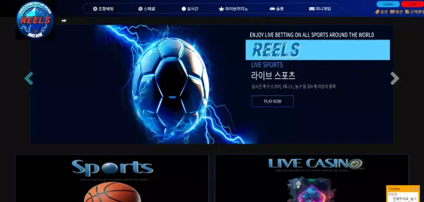 릴스 먹튀
