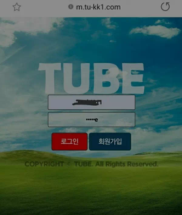 튜브 먹튀