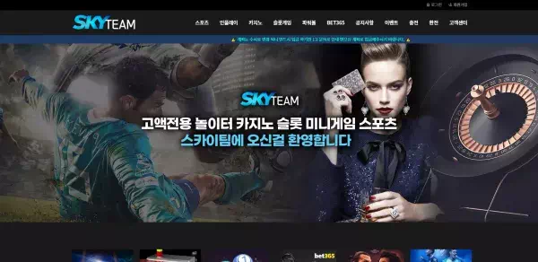 스카이팀 먹튀