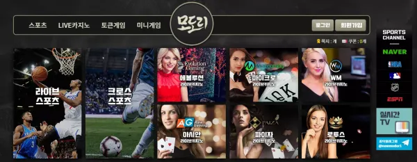모도리 먹튀