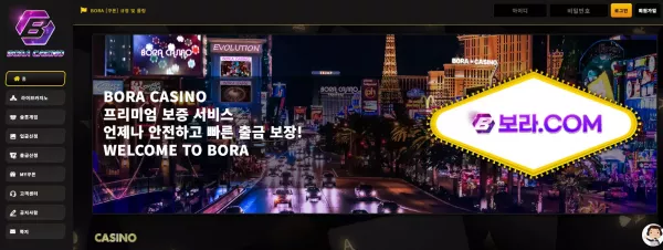 보라카지노 먹튀 검거