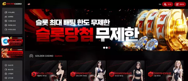 골든카지노 먹튀 검거