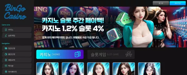 빙고카지노 먹튀 검거
