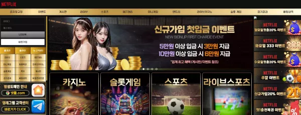 넷플릭스 먹튀 검거