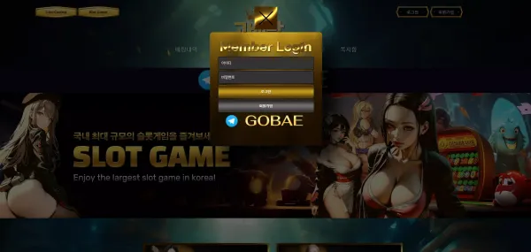 고배당 먹튀