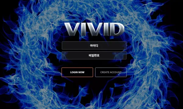 비비드 먹튀