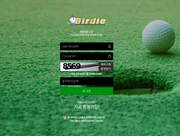 버디 먹튀
