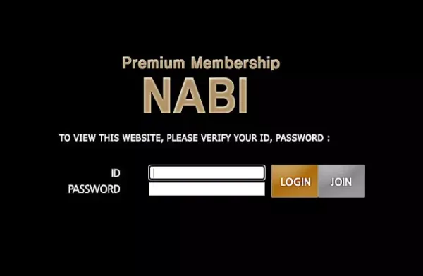 나비 먹튀