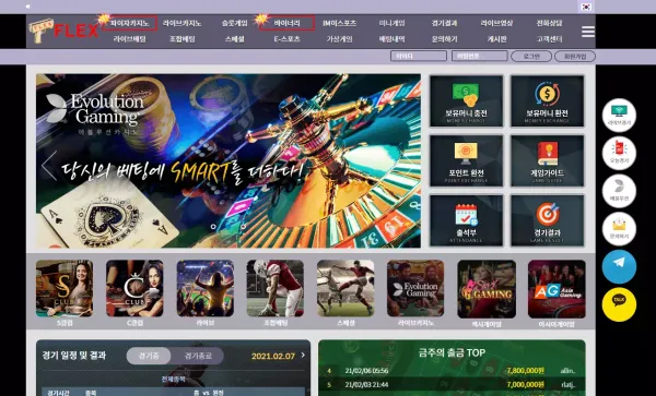 플렉스 먹튀