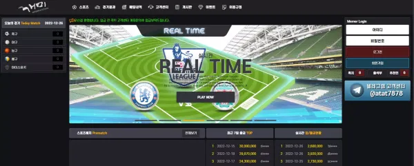 개미 먹튀