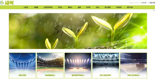 새싹 먹튀