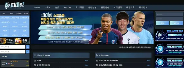 파이팅 먹튀