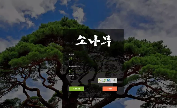 소나무 먹튀