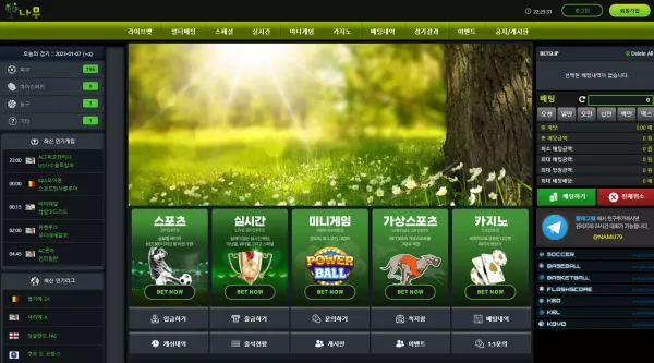 나무 먹튀