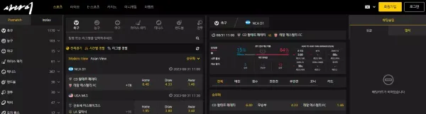 사나이 먹튀
