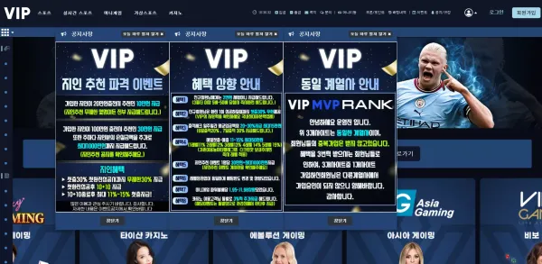 vip 먹튀