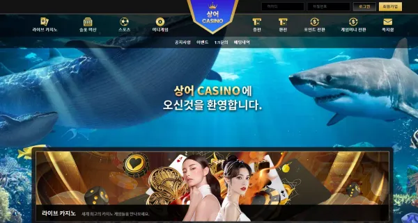 상어카지노 먹튀