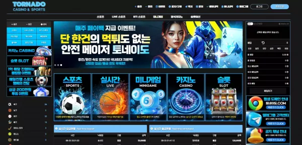 토네이도 먹튀 검거