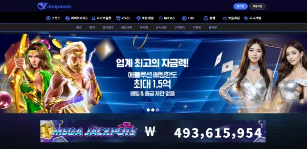 딥시크 먹튀 검거