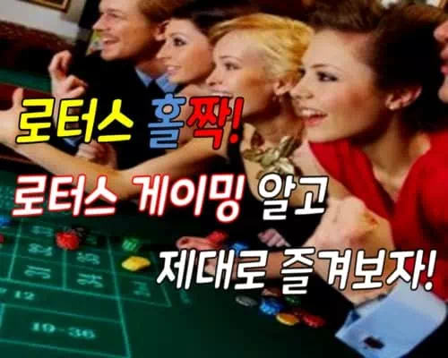로터스 게임 로투스 홀짝