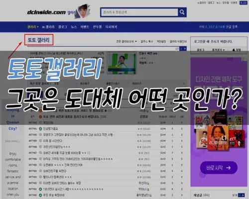 토토 갤러리
