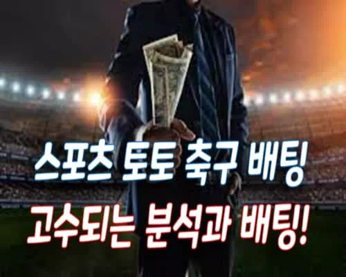 스포츠 토토 축구 배팅