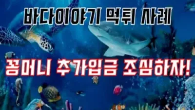 바다이야기 먹튀 사례 꽁머니 추가 입금 조심하자!