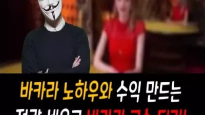 바카라 노하우와 수익 만드는 전략 세우고 바카라 고수되기!