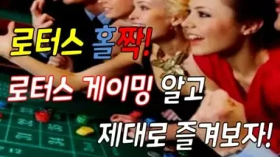 로터스 홀짝! 로터스 게이밍 알고 제대로 즐겨보자!