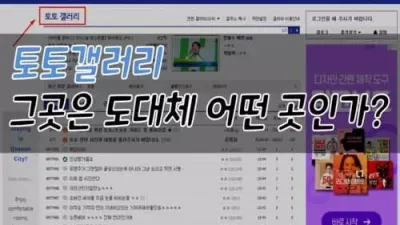 토토 갤러리 그곳은 도대체 어떤 곳인가?