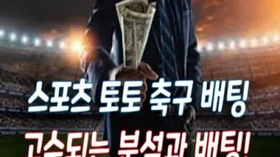 스포츠토토 축구 배팅 고수되는 분석과 배팅!