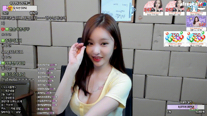 bj츄정 레깅스