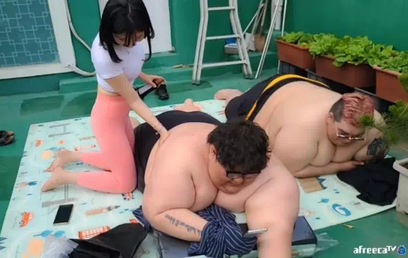 아프리카 여캠 극한직업