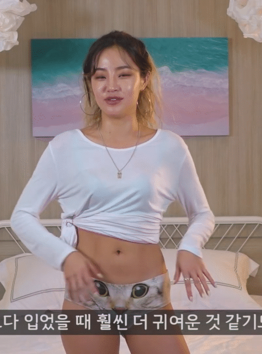 고양이 팬티 리뷰 유튜버 고양이 팬티 귀여운데??