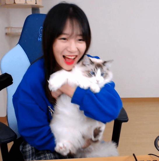 쯔양