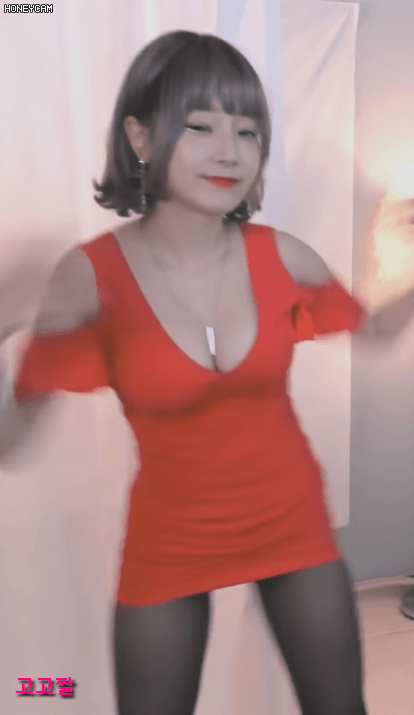 BJ파니