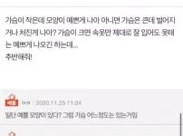 작지만 예쁜 찌지 vs 크고 못생긴 가슴