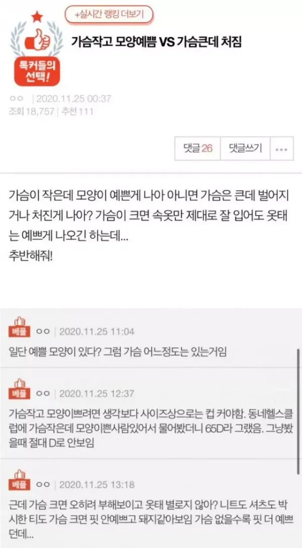 작지만 예쁜 찌지 vs 크고 못생긴 가슴