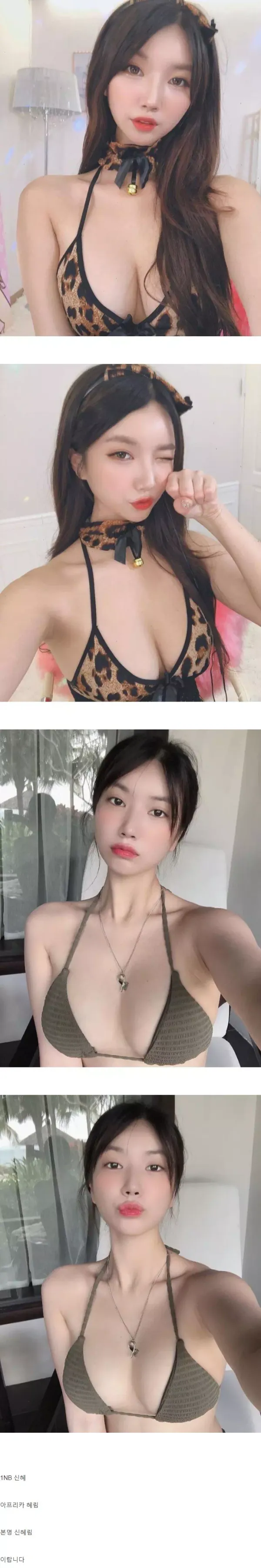 아이돌 출신의 아프리카 BJ 혜림