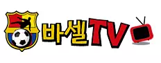 바셀티비
