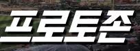 프로토존