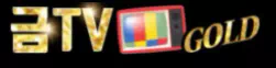 금TV