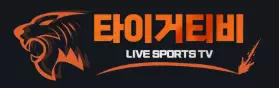 타이거티비