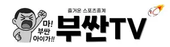 부싼티비