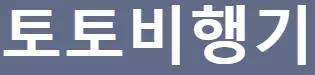 토토비행기