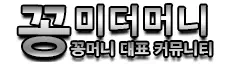 꽁미더머니